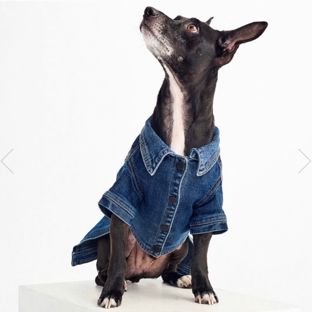 DL1961 Fido Canine Trucker | Puppy Breath